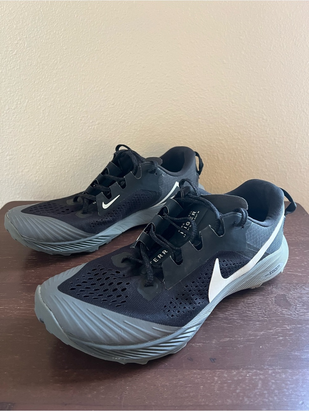 Nike Terra Kiger 6 Trail